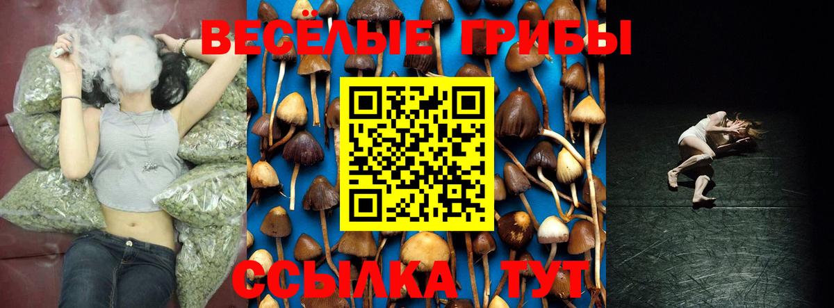 Галлюциногенные грибы ЛСД Урюпинск