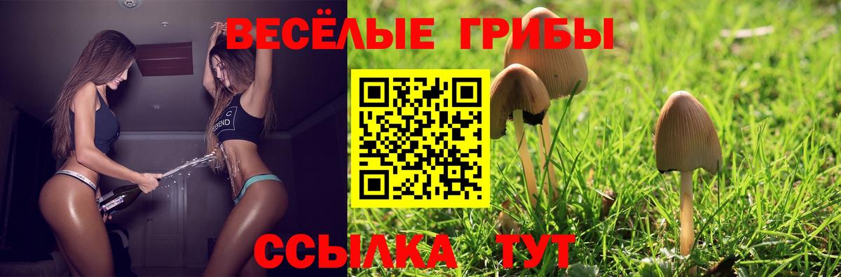 Галлюциногенные грибы Magic Shrooms  Вход с VPN  Галлюциногенные грибы мицелий  Урюпинск 